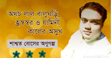 শাশ্বত বোসের অণুগল্প