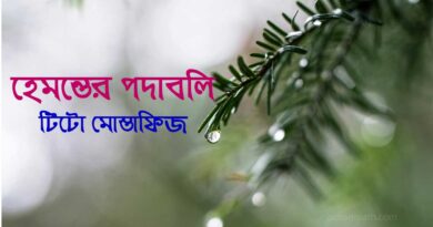 হেমন্তের পদাবলি- টিটো মোস্তাফিজ