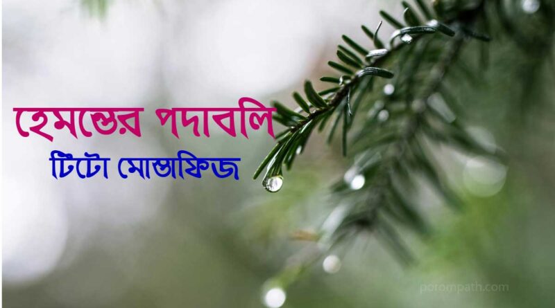 হেমন্তের পদাবলি- টিটো মোস্তাফিজ