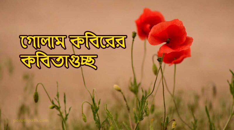 গোলাম কবিরের কবিতা